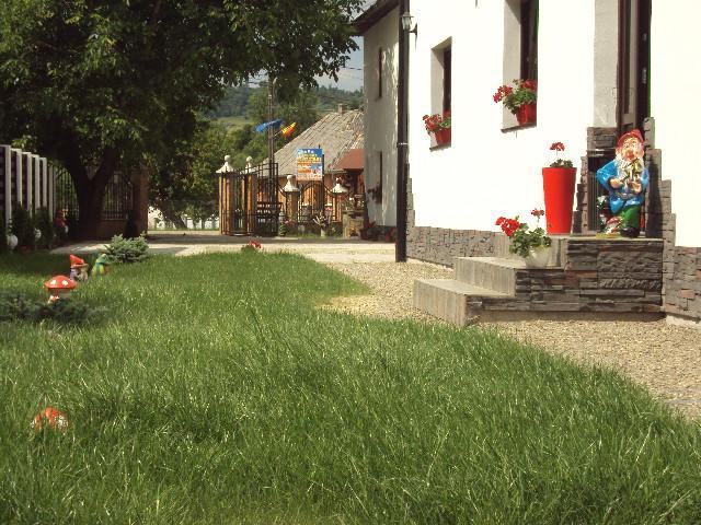 Pensiunea Vasilica Ceterasu Onceşti Exterior foto